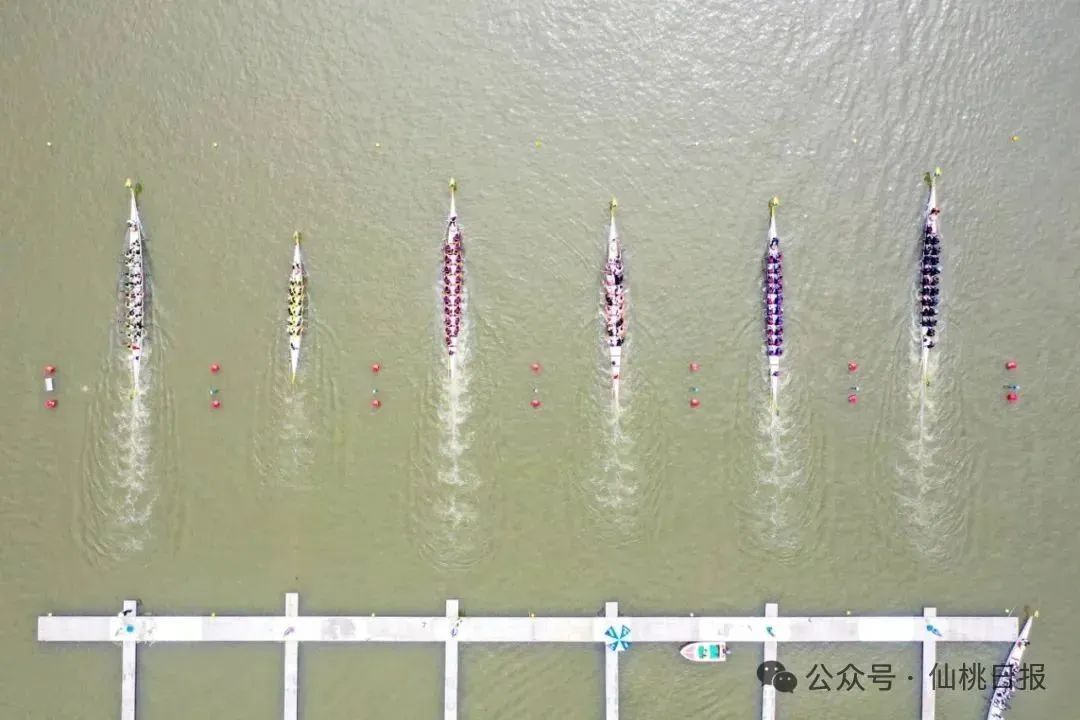 最新无为三汊河龙舟赛，学习变迁之路，自信与荣耀的汇聚点