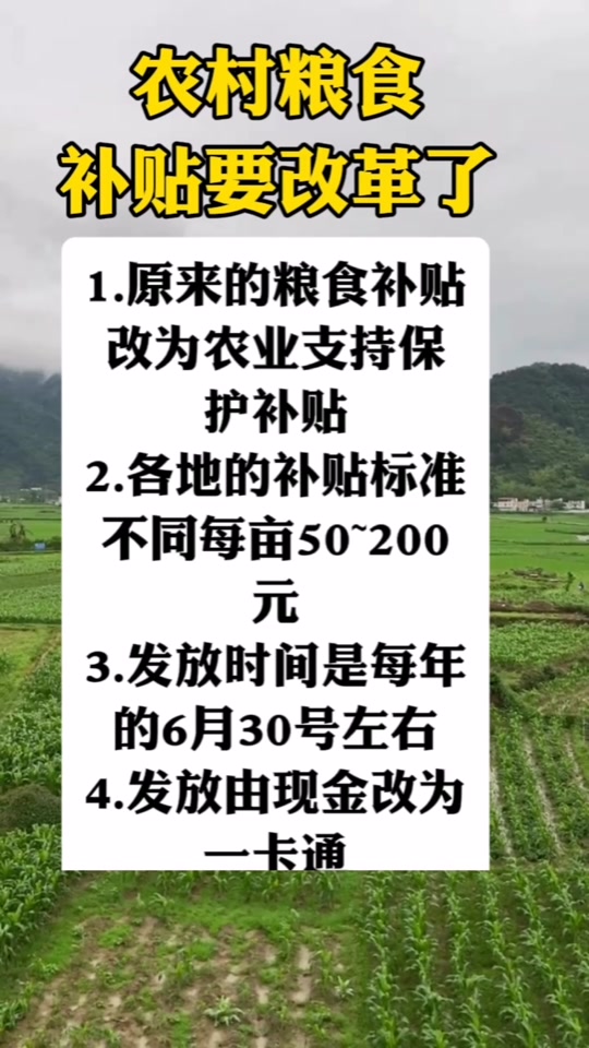 关于粮食直补的最新消息，展望2025年的政策动向