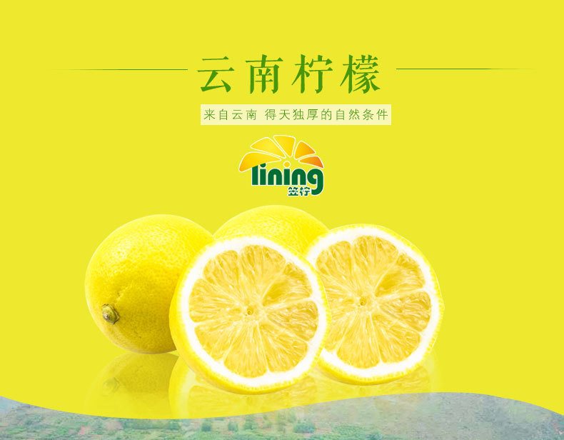 柠檬最新网站探索，小巷深处的独特小店体验