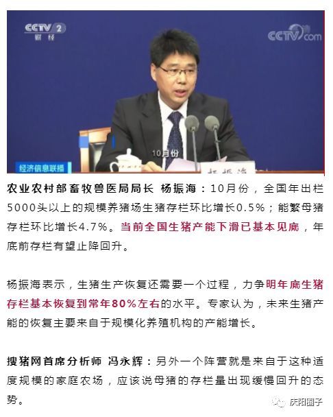 武威马顺龙最新消息全解析，获取步骤指南（初/进阶用户必备）