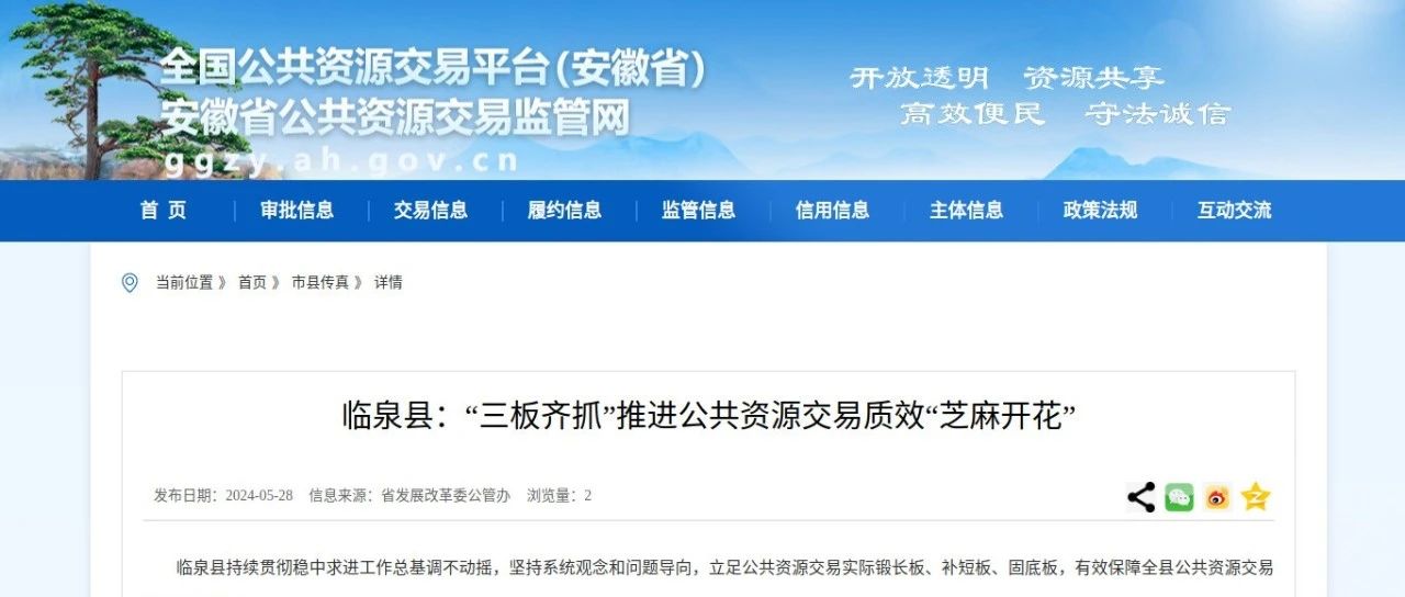 临泉人民政府网最新动态，引领城市发展的前沿信息速递